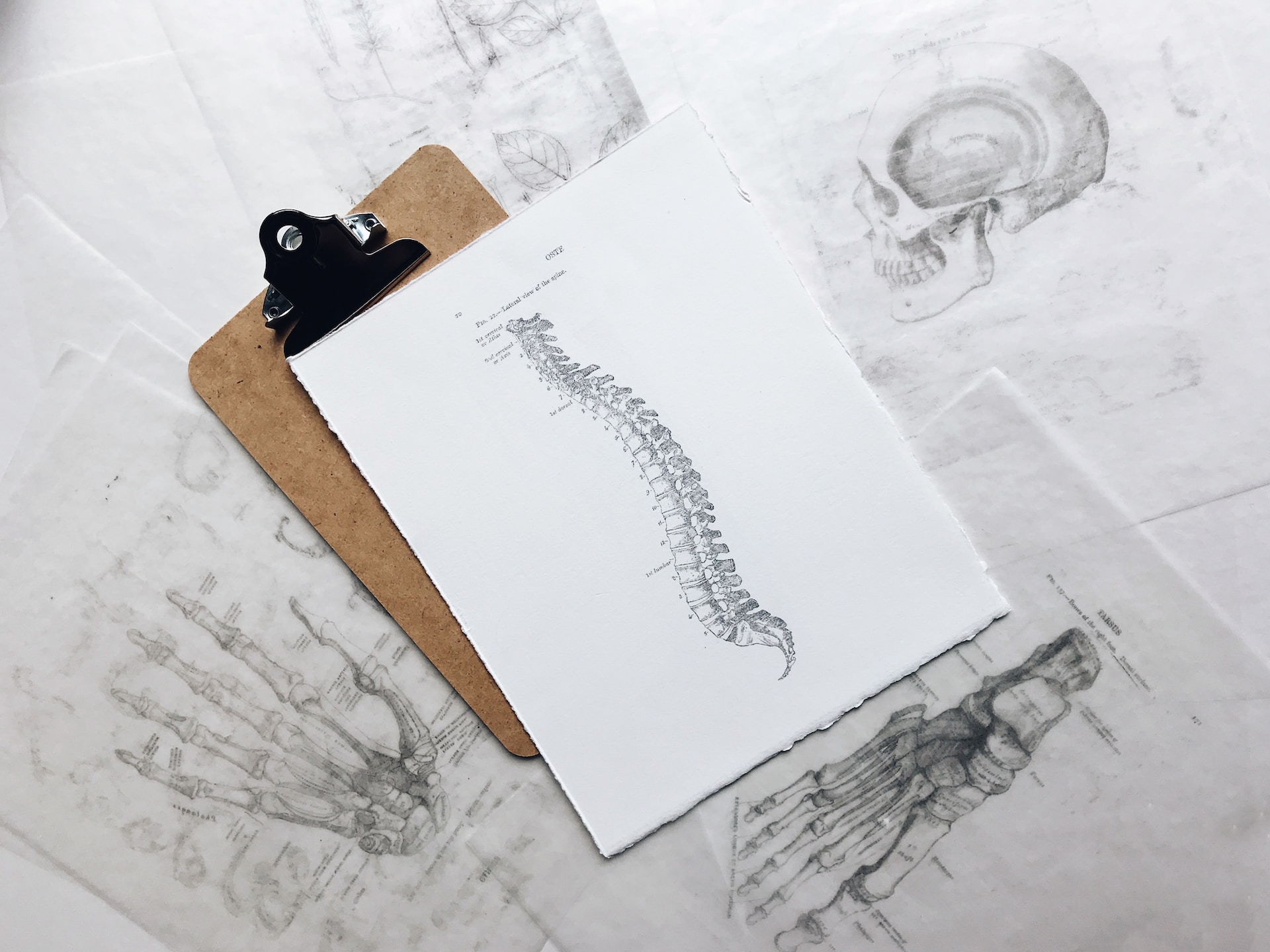 spine on clipboard