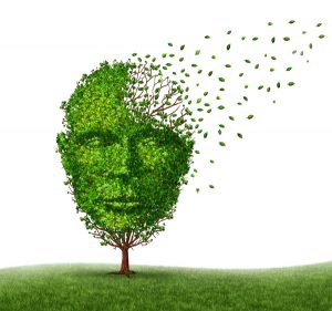 Dementia disease dealing with Alzheimer's illness as a medical icon of a tree in the shape of a front view human head and brain losing leaves as challenges in intelligence and memory loss due to injury or old age.
