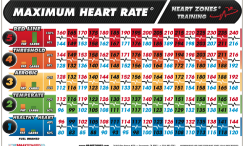 Heart Rate Training Zones Chart