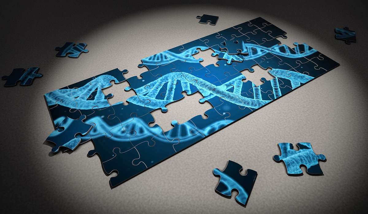 DNA-puzzle