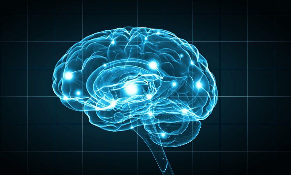 The Neuroscience of Mind-Body - MedFitNetwork