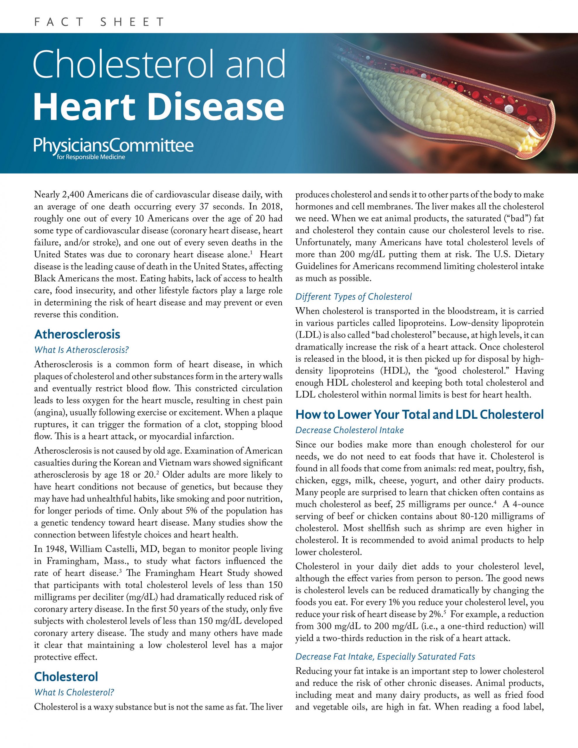 Cholesterol And Heart Disease Fact Sheet From Pcrm Medfitnetwork 9002